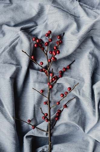 christmas wallpapers round red fruits berry